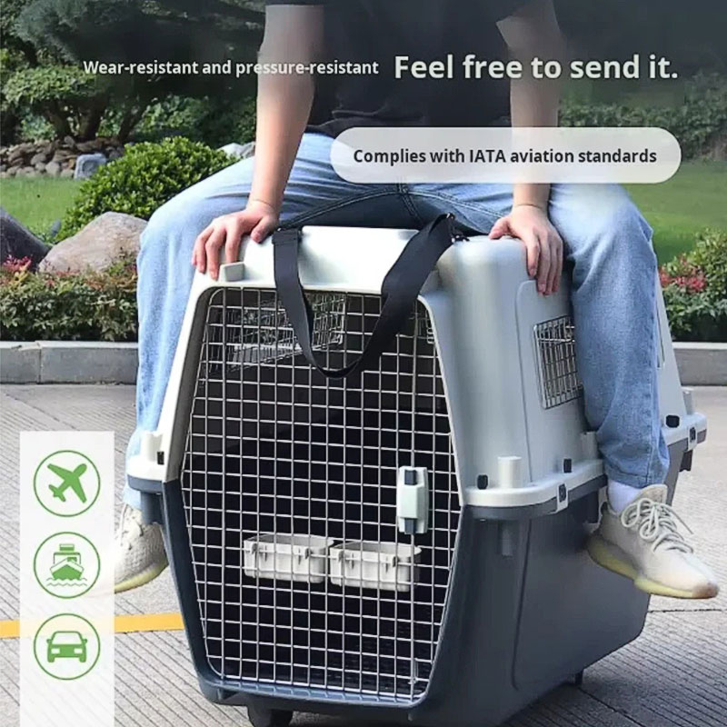 Pet air box
